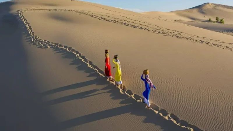 Hành Trình Khám Phá Ninh Chữ Trong Một Ngày