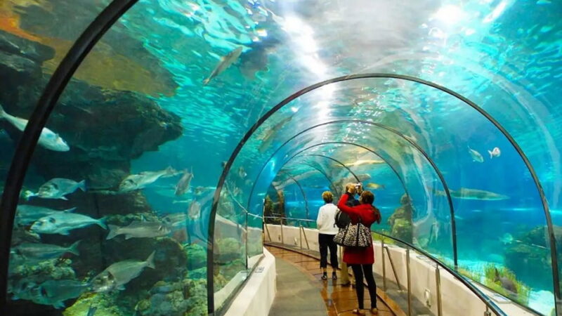 Dạo Một Vòng Ẩm Thực Gần Suối Tiên Cho Ngày Vui Trọn Vẹn