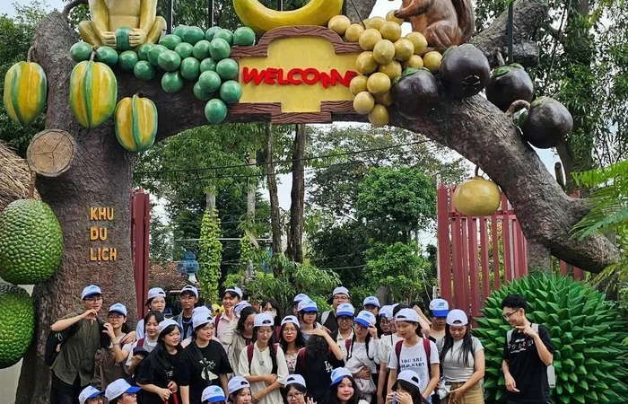 Những Hoạt Động Thú Vị Nhất Định Phải Thử Khi Đến Đất Thép Farm