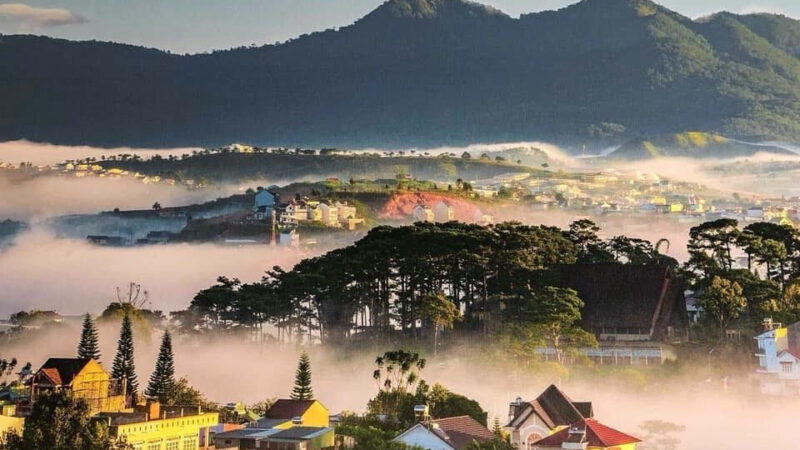 Chọn Thời Điểm Vàng Để Tận Hưởng Đà Lạt 2 Ngày 1 Đêm