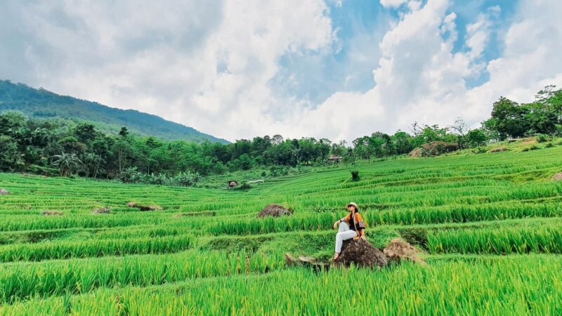 Top 5 Nơi Lưu Trú Ấn Tượng Cho Chuyến Du Lịch Pù Luông